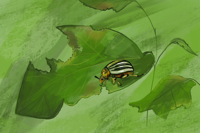 The Food Security Equation: Climate’s Role and the Pest Problem